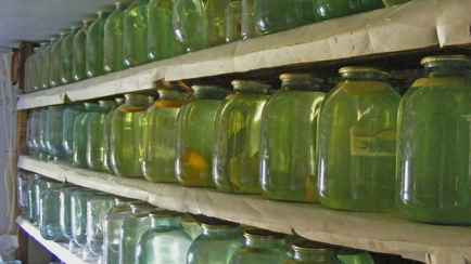 Как правильно закатать берёзовый сок? Собрали 5 простых рецептов