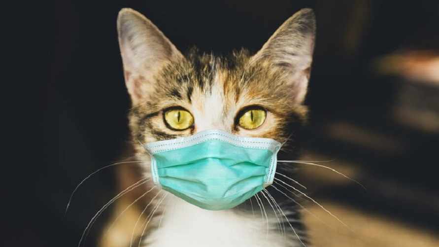 Фото: depositphotos