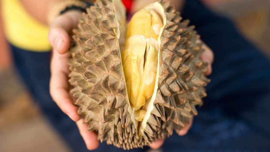 В Турции самолет совершил экстренную посадку из-за экзотического фрукта