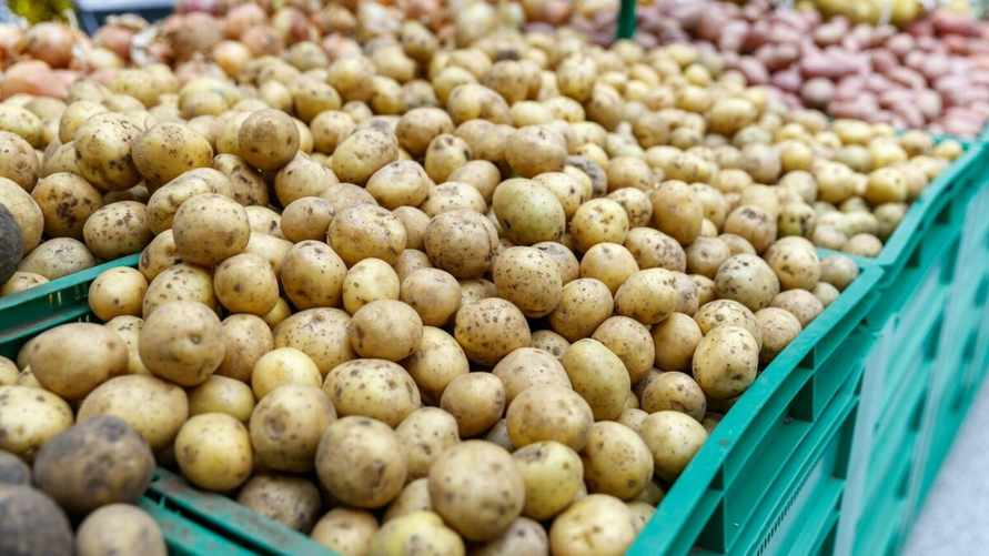 Фото иллюстрационное