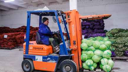 «Все завяло и сгнило» — Лукашенко приказал разобраться со стабфондами овощей