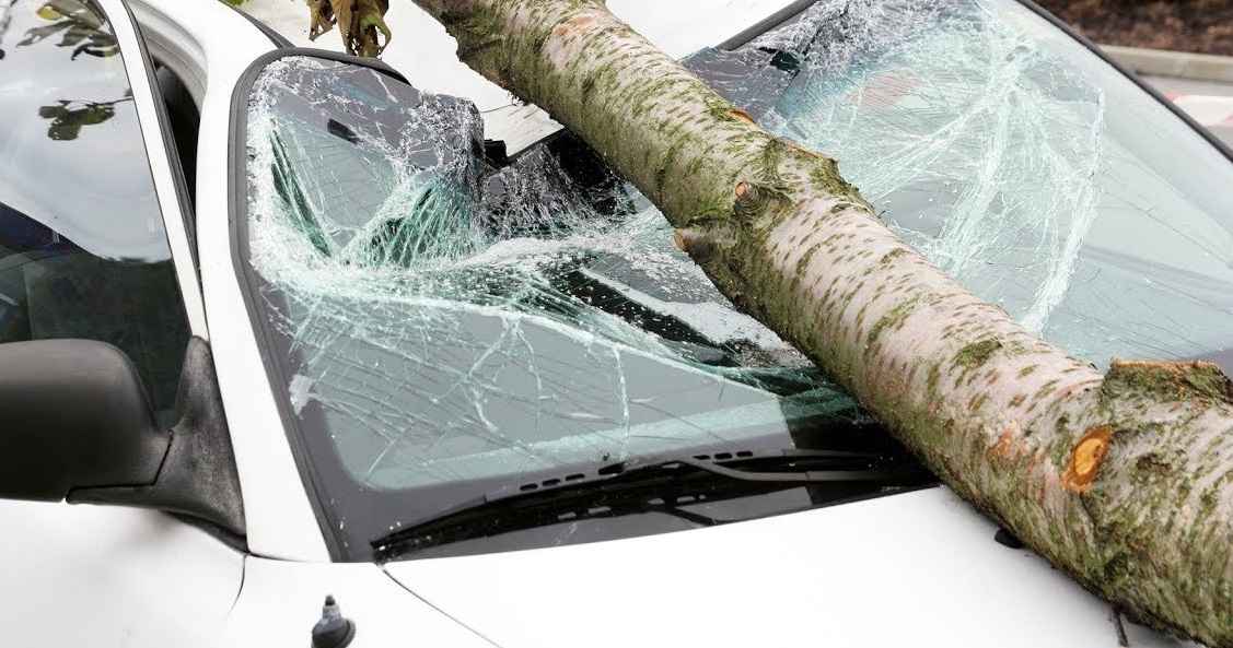 Фото иллюстрационное