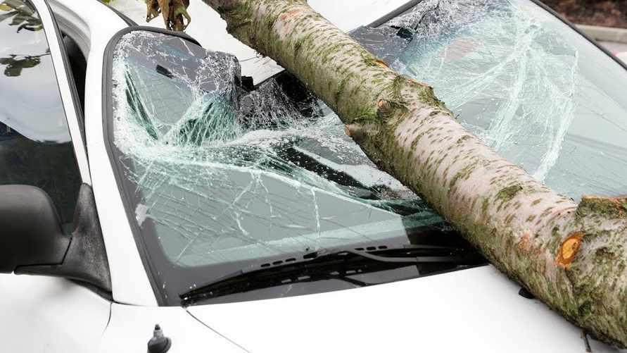 Фото иллюстрационное