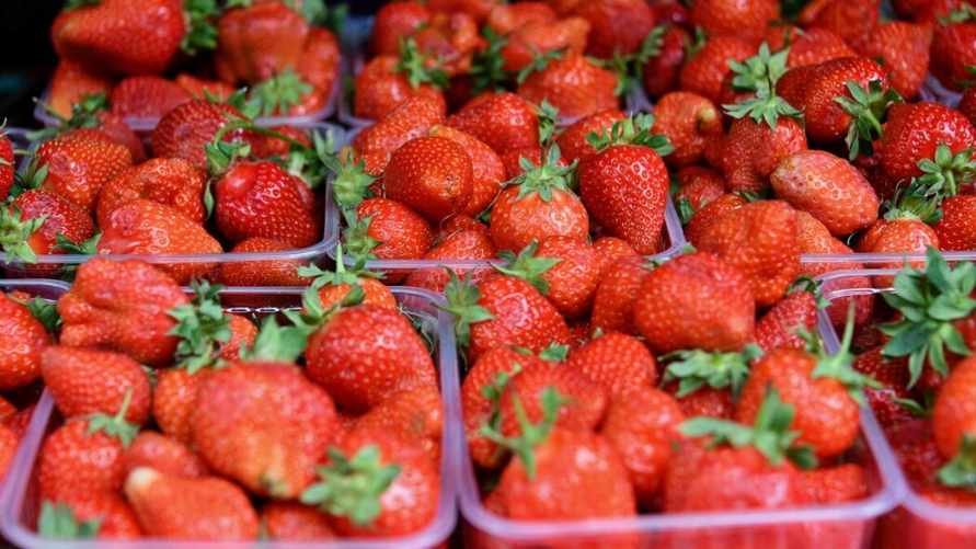 Глава МАРТ рассказал, почему зимой не найти свежую белорусскую клубнику