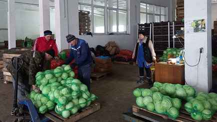 Белорусы не успевают съедать овощи из стабфондов