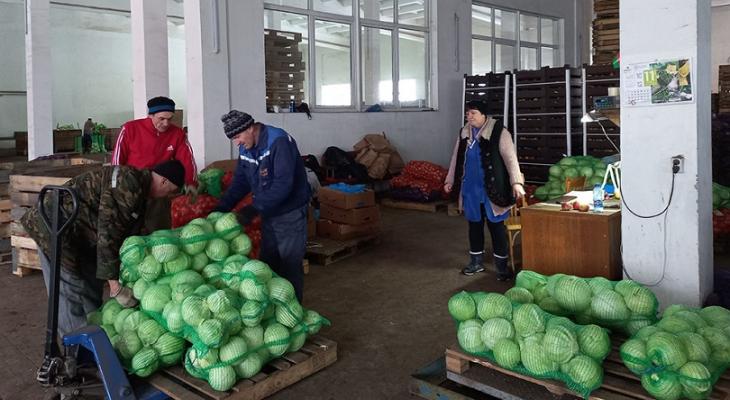 Белорусы не успевают съедать овощи из стабфондов