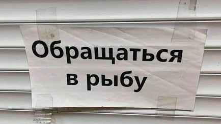 В КГК рассказали, как в службе 115 обманывали белорусов в 2022 году