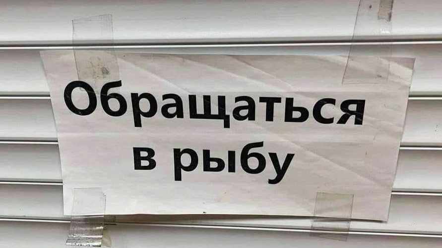 Фото иллюстрационное