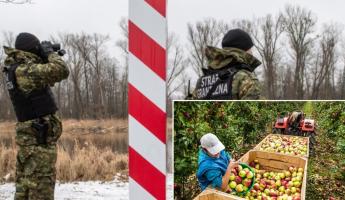 Польша откроет в апреле закрытые погранпереходы с Беларусью? Все дело в яблоках