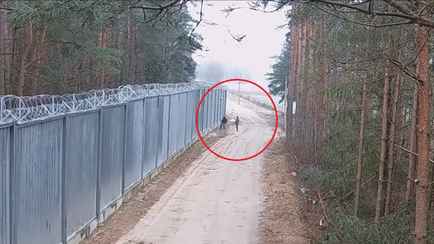 Поляки показали видео атаки с камнями и палками на границе с Беларусью