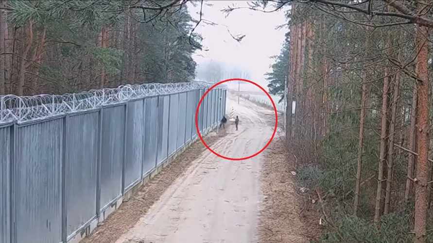 Поляки показали видео атаки с камнями и палками на границе с Беларусью