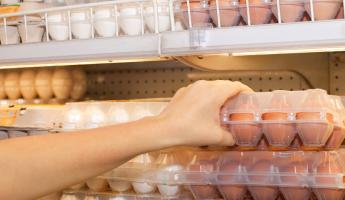 Белорусам предложили платить на 6% больше за яйца. Но это не налог