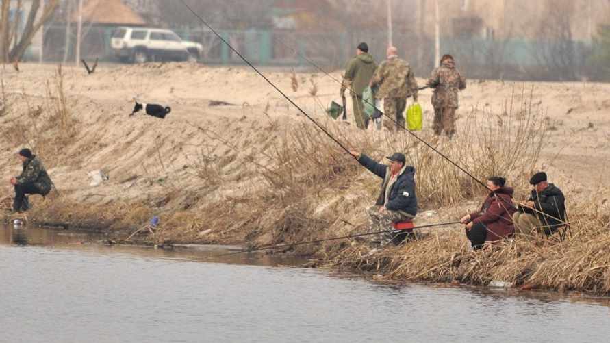 Фото: fish-master.com.ua