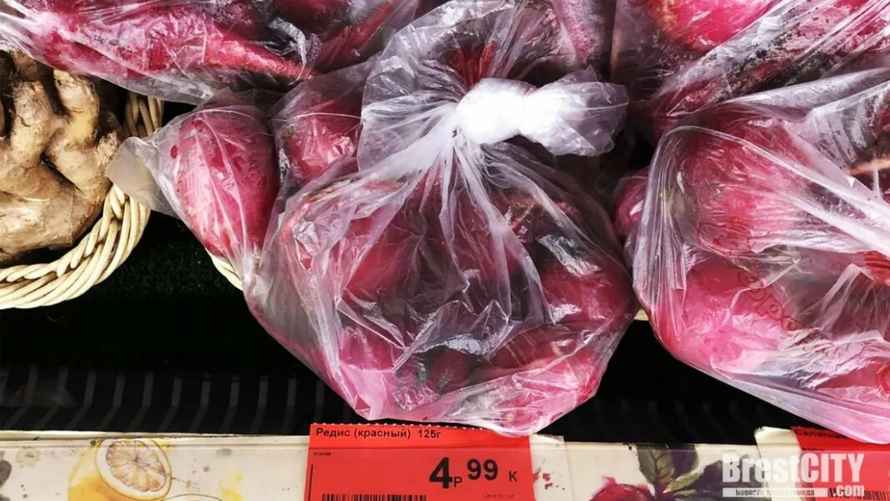 Фото: «БрестСити»