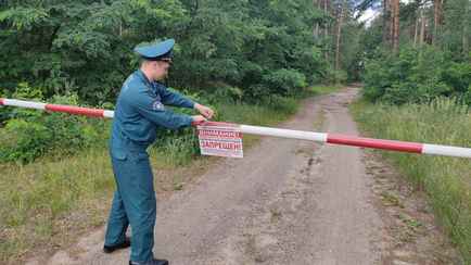 В шести районах Беларуси ввели ограничения на посещение леса