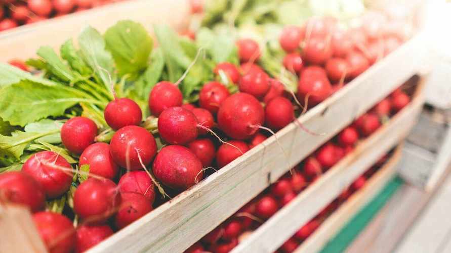 Фото иллюстрационное