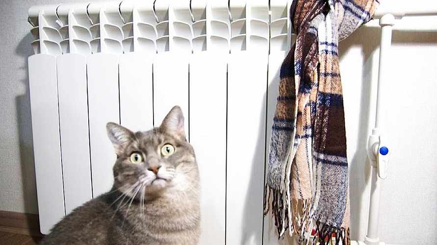 Фото иллюстрационное