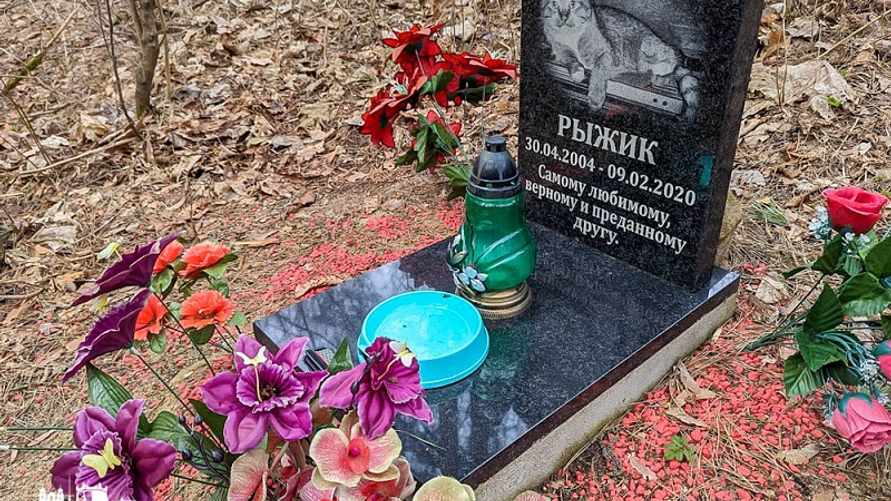 Фото: newgrodno.by