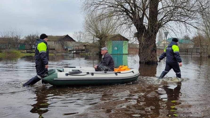 Фото: zviazda.by