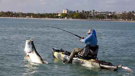Белорусским рыбакам запретили ловить еще одну рыбу с 15 апреля. Какой штраф грозит?