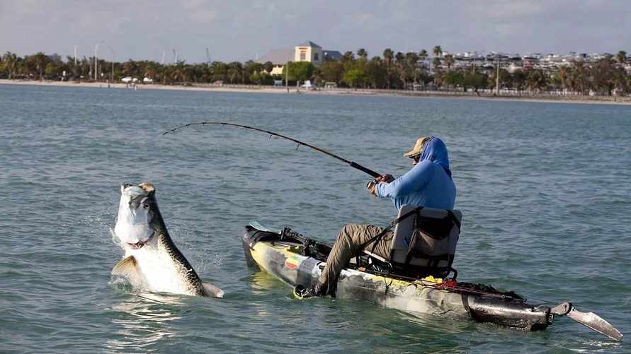 Фото иллюстрационное