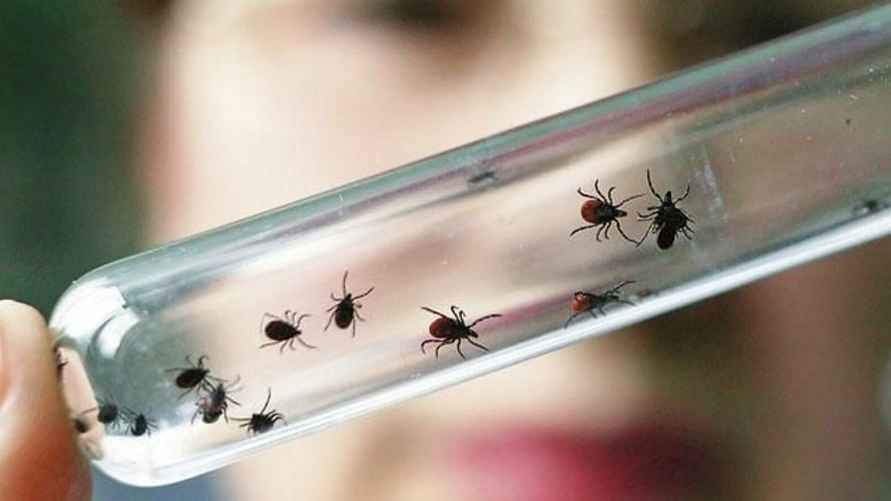 Фото иллюстрационное