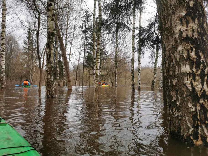 В Полоцке благодаря паводку устроили заплыв на байдарках по городу