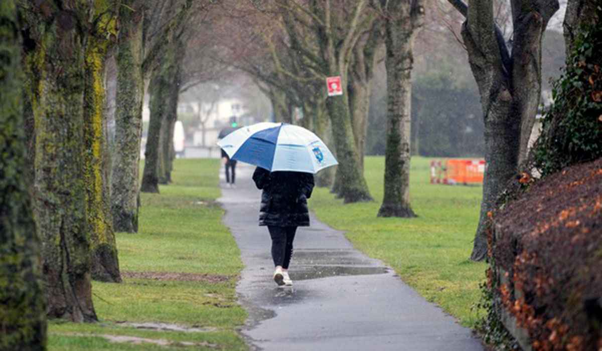 Фото: Collins Photos