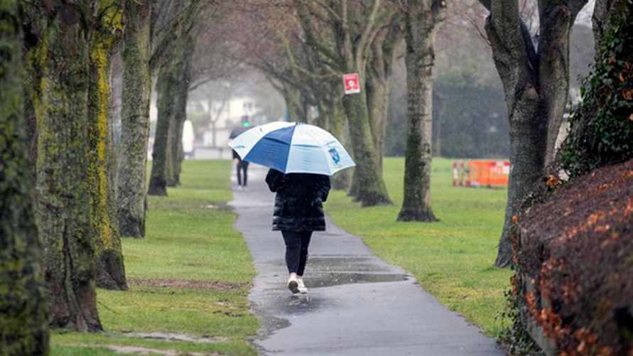 Фото: Collins Photos