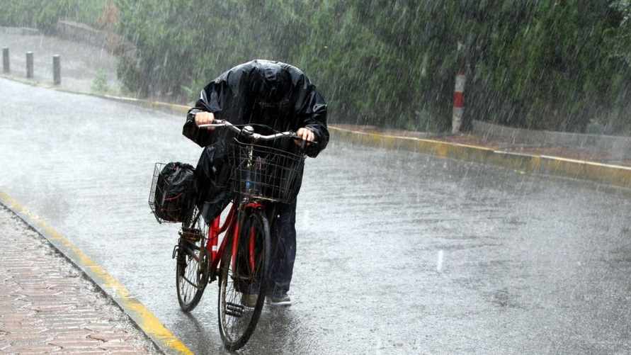 Фото иллюстрационное