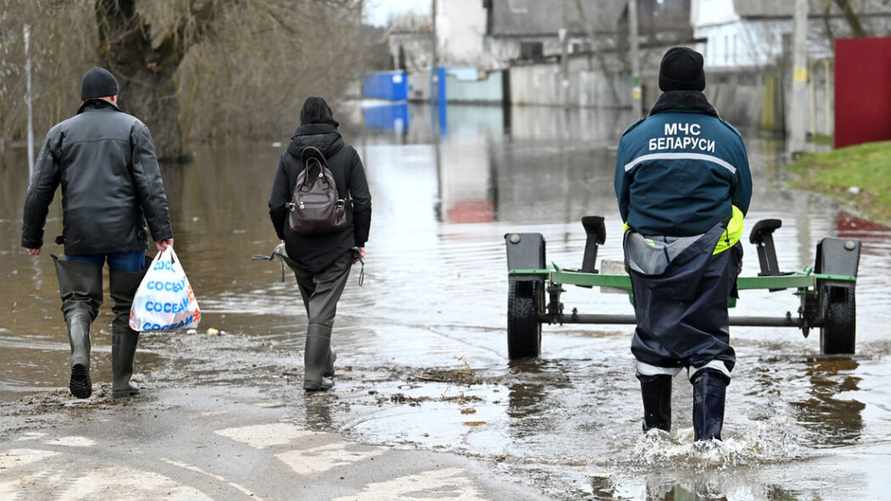 Фото: Onliner.by