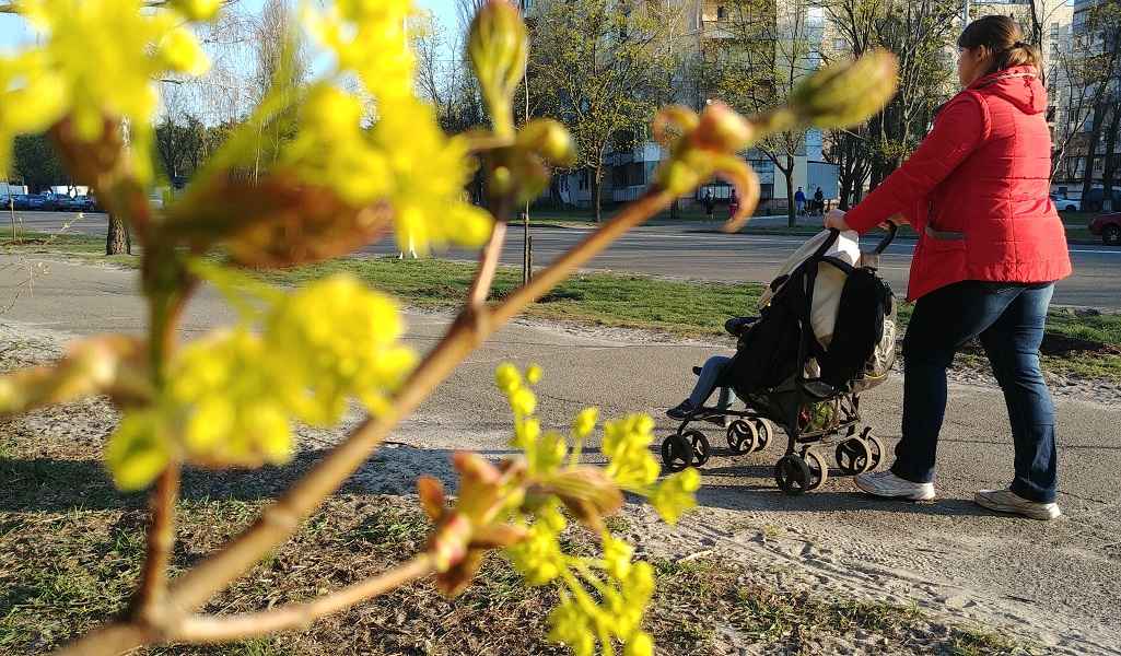 Фото иллюстрационное