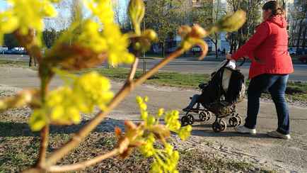 Синоптики рассказали, когда в Беларуси потеплеет до +18°C. А что с дождями?
