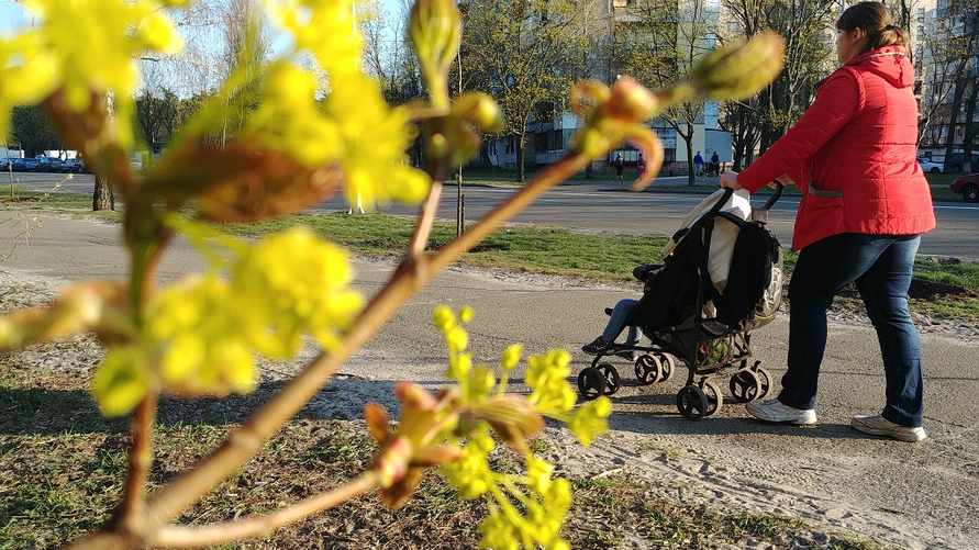 Фото иллюстрационное