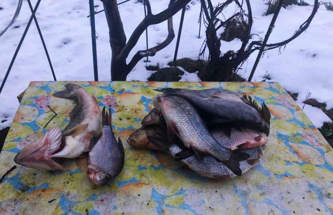 В Гомельской области рыбака обвинили в ущербе на 6549 рублей. За что?