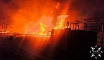 В Минске загорелся тепличный комбинат