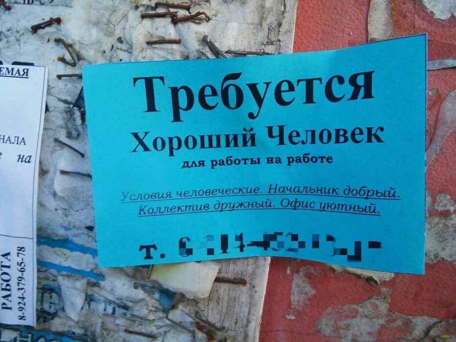 Министр труда посоветовала безработным белорусам не ходить в службы занятости. А что делать?