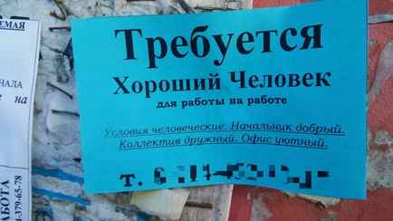 Министр труда посоветовала безработным белорусам не ходить в службы занятости. А что делать?