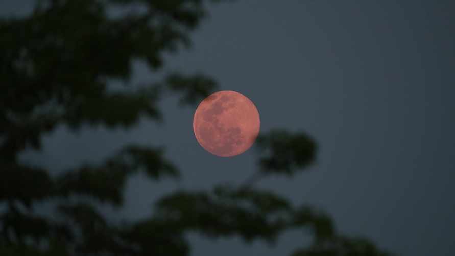 Фото иллюстрационное/ AP Photo