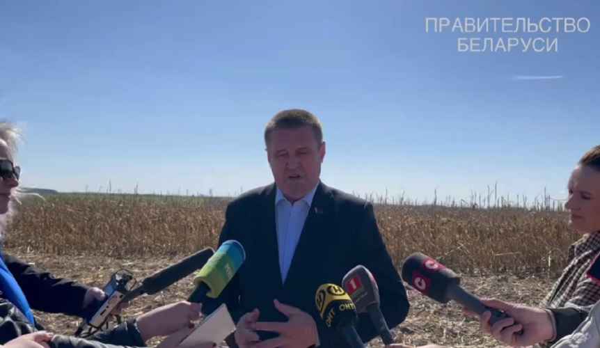 "Нет ничего страшного" - В Совмине рассказали, почему в Беларуси прошлогоднюю кукурузу убирают весной