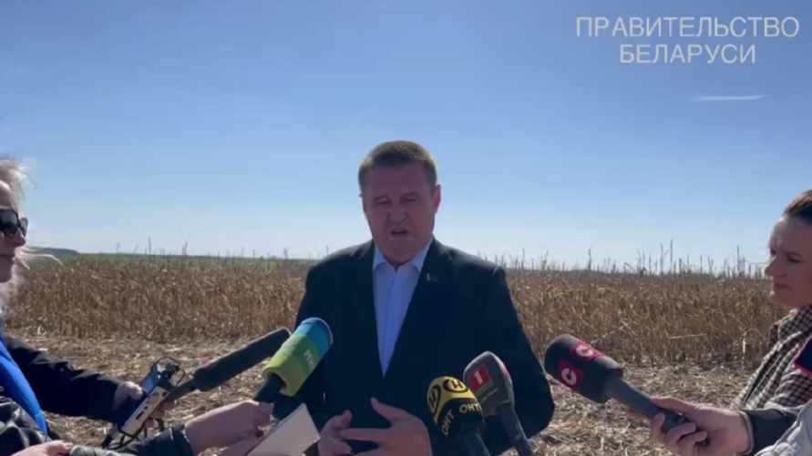 "Нет ничего страшного" - В Совмине рассказали, почему в Беларуси прошлогоднюю кукурузу убирают весной