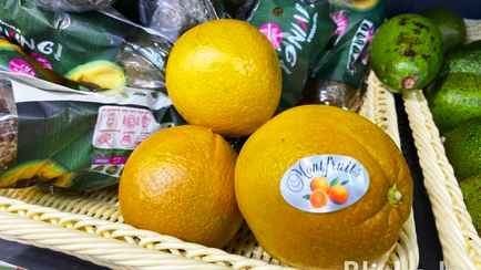 В Беларуси появились «шоколадные» апельсины по 12 BYN за кг. Чем отличаются от обычных?