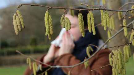Как аллергикам пережить весенний поллиноз? А без таблеток можно? Объяснил врач