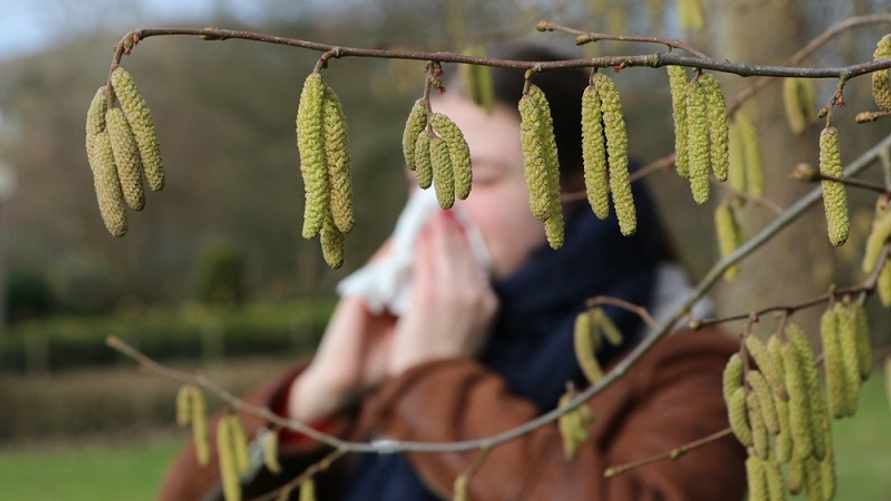 Фото: Shutterstock