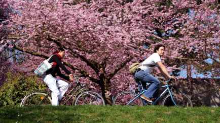 Рост пенсий, большие выходные, отключения горячей воды. Что еще изменится в Беларуси в мае?
