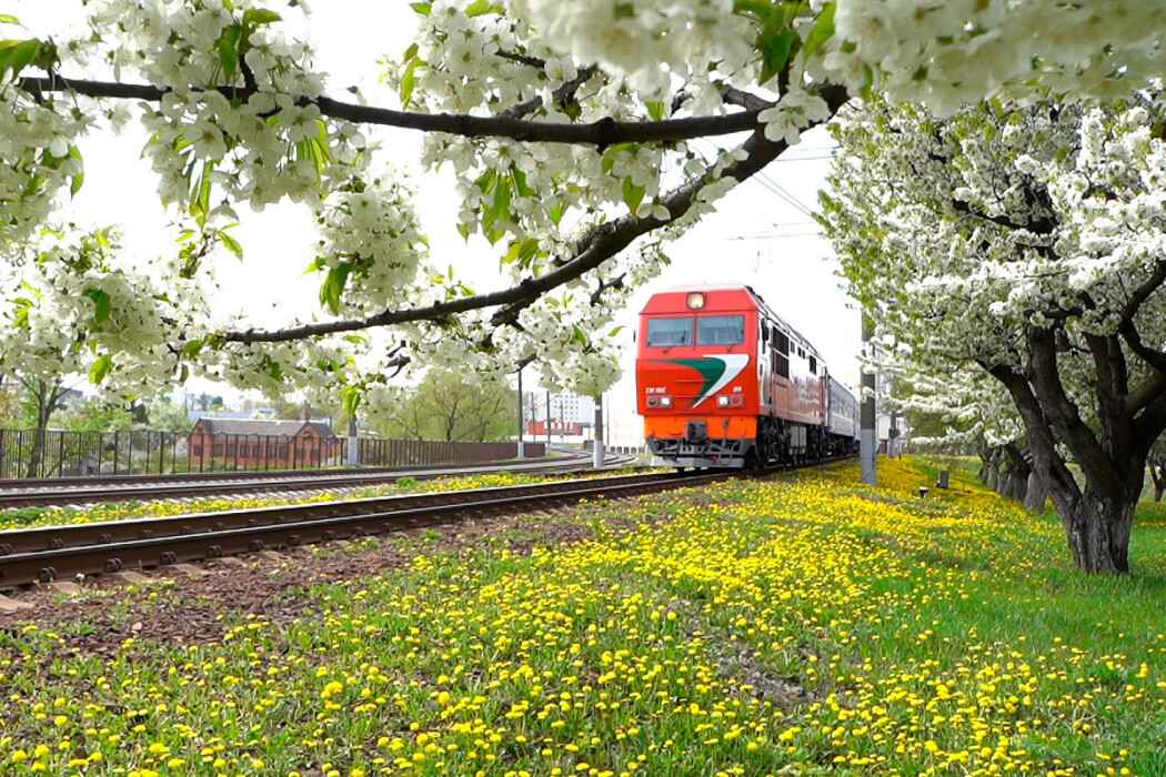 БелЖД назначила 250 дополнительных поездов. Когда и куда повезут?