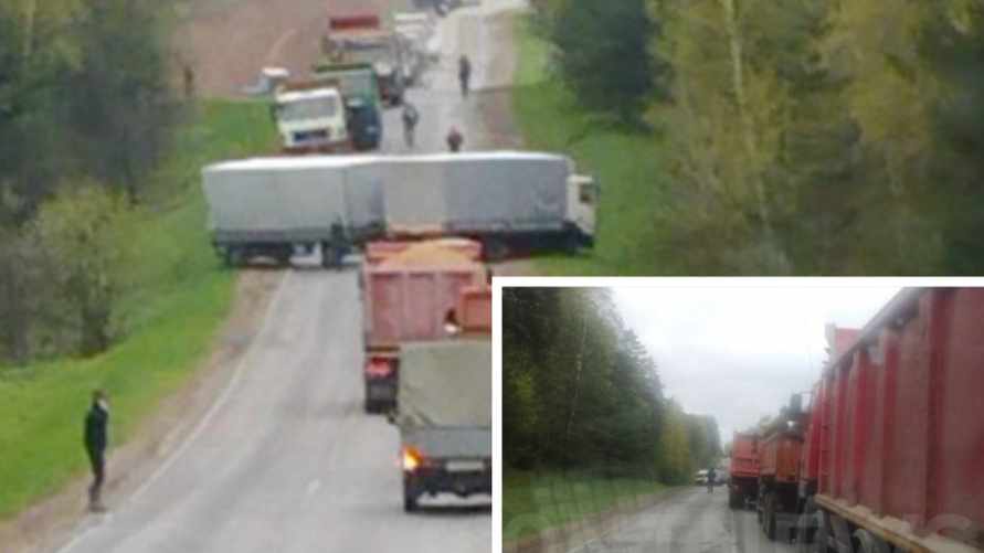 Коллаж из фото Onliner и ОНТ