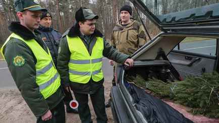 Белорусским лесникам разрешат стрелять, останавливать авто и дадут мигалки? Депутаты рассказали о законопроекте