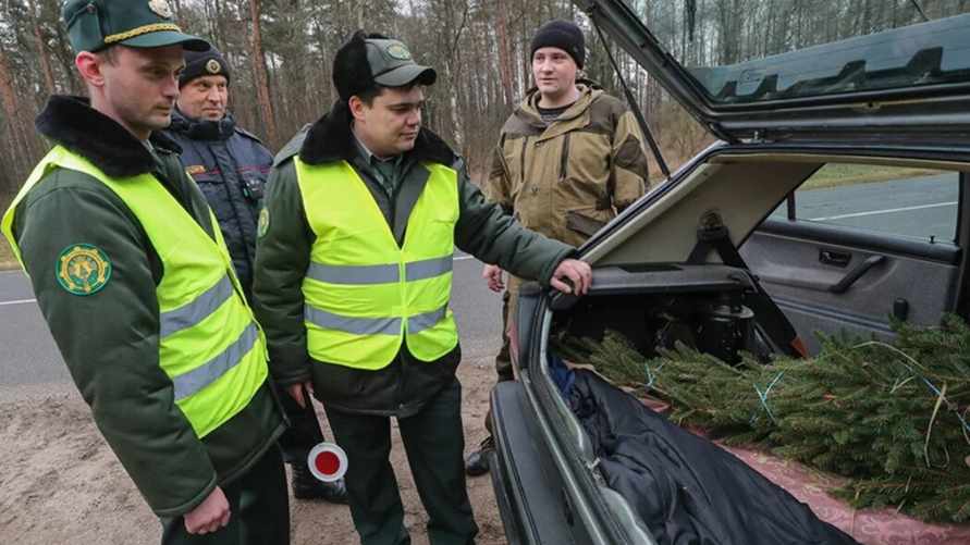 Фото иллюстрационное