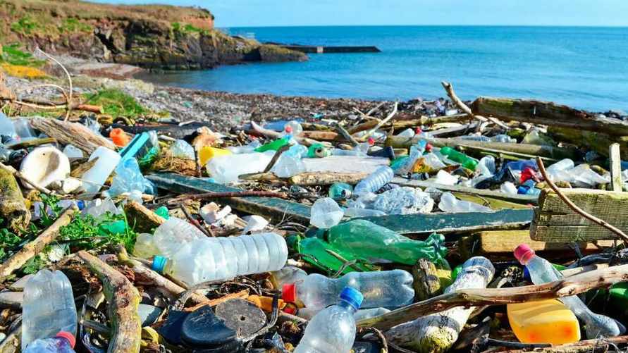 В Австралии нашли грибы, «поедающие» пластик. Это как?